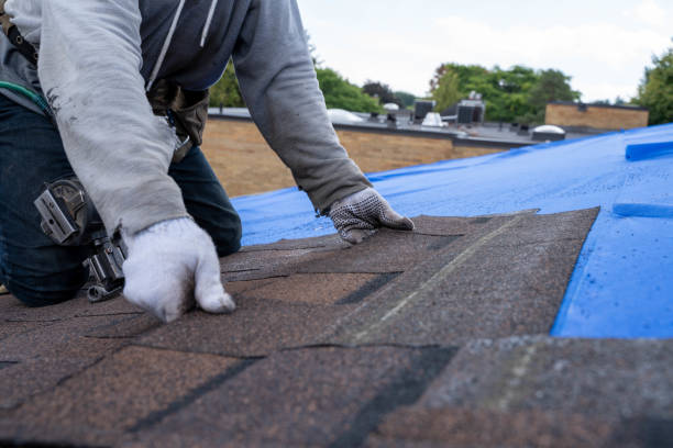 Best Best Roofing Contractors  in Lisbon, ND