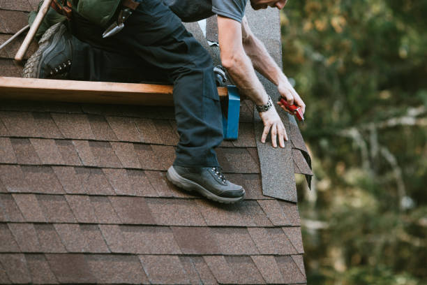 Best Flat Roof Repair Services  in Lisbon, ND