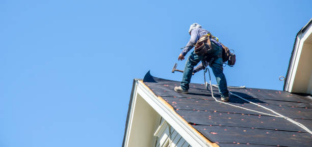 Best Shingle Roofing Installation  in Lisbon, ND